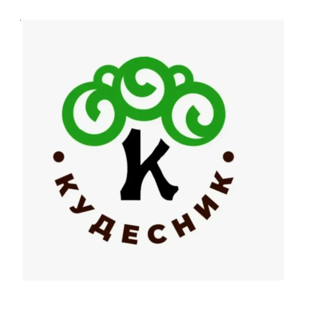 Кудесник 28