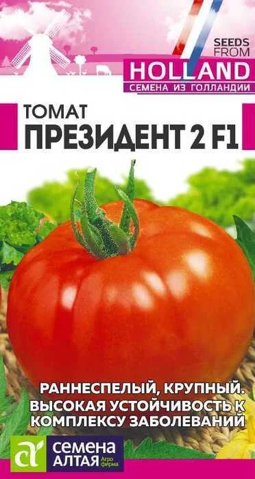 tomat_prezident_2_f1_5_sht