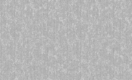 Фото для Обои 1,06х10,05м Экватор, серый, фон 01 5034 С50