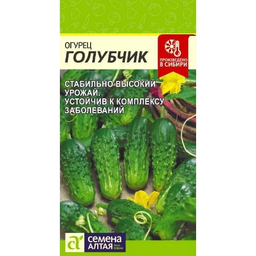 ogurets_golubchik_f1_0_3_g_semena_altaya