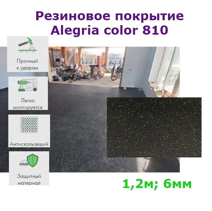 Резиновое покрытие 1,2м 6мм Alegria color 810 противоскользящее