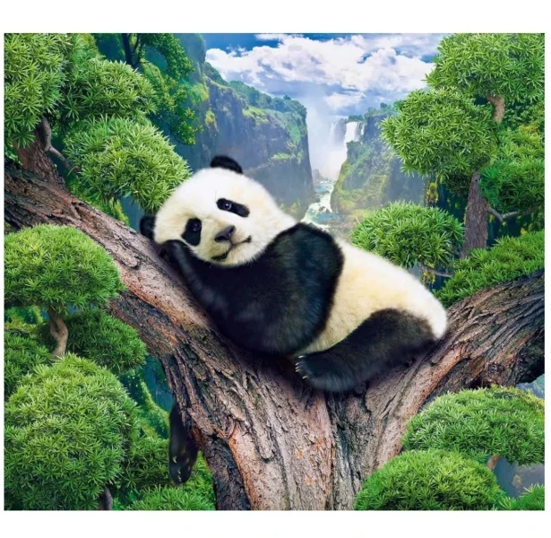 Фото для Фотообои Панда 294х260см