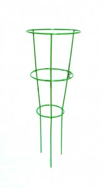 Фото для Опора для растений КОНУС, высота 75 см, зеленый