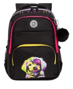 Фото для РЮКЗАК ШКОЛЬНЫЙ GRIZZLY RG-568-4 39*28*20СМ