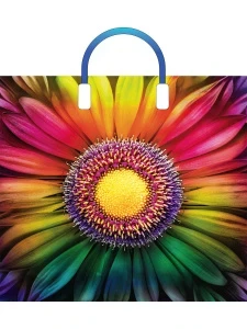 Фото для ПАКЕТ ПОДАРОЧНЫЙ 38*34СМ ПЛАСТИКОВАЯ РУЧКА "РАДУЖНЫЙ"