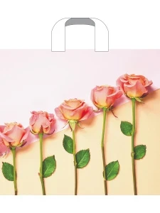 Фото для ПАКЕТ ПОДАРОЧНЫЙ ПОЛИЭТИЛЕНОВЫЙ 38*34СМ ПЕТЛЕВАЯ РУЧКА 70МКМ (ПТЛ51590, Признание)