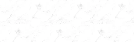 7y6cot6ffrq6lshlolyv9k36hb7qrmxj