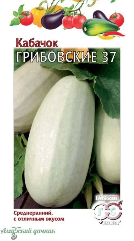 Фото для БП Кабачок Грибовский 37, 1г УДС "Г"/20