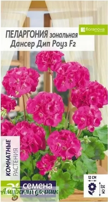 Фото для ЦВЦ Пеларгония Дансер Дип Роуз F2, зональная 4 с. " СА" /10