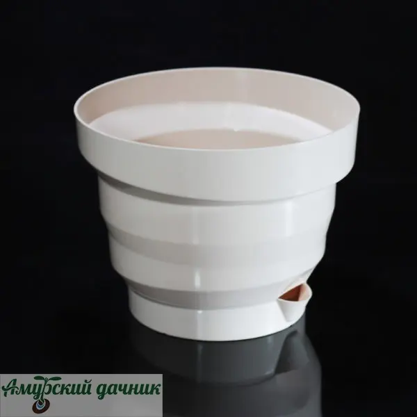 51vlwbip9vqg6axjdxdxryv01joph2ak