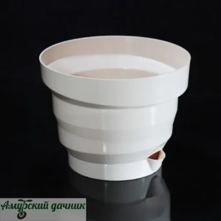 51vlwbip9vqg6axjdxdxryv01joph2ak