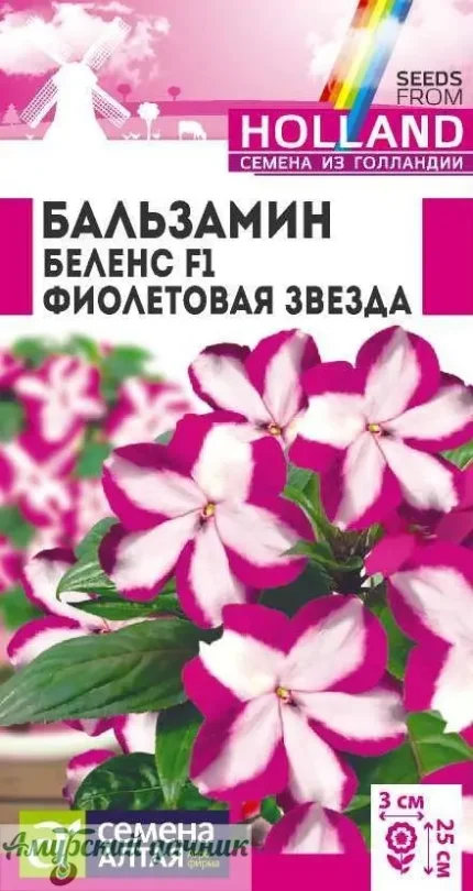 Фото для ЦВЦ Бальзамин Беленс Фиолетовая Звезда F1 " СА"/10