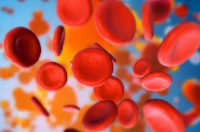 Анализ крови: Тромбоциты, Эритроциты, Гемоглобин, Гематокрит.