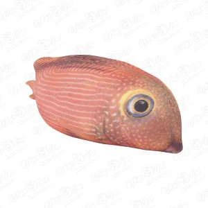 Игрушка-антистресс мягкая рыба Коле Тан 23см