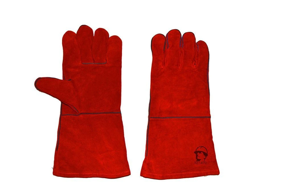 543a19fb-f8ca-11ec-bad8-b06ebf821d59_f964d7ed-8ceb-11ee-bb2d-54af9786ed92.resize2