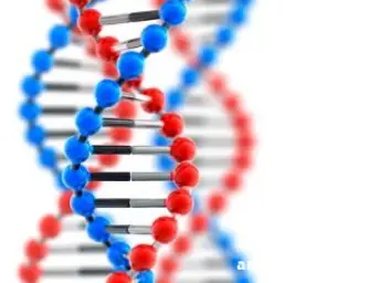 Тест ДНК на отцовство