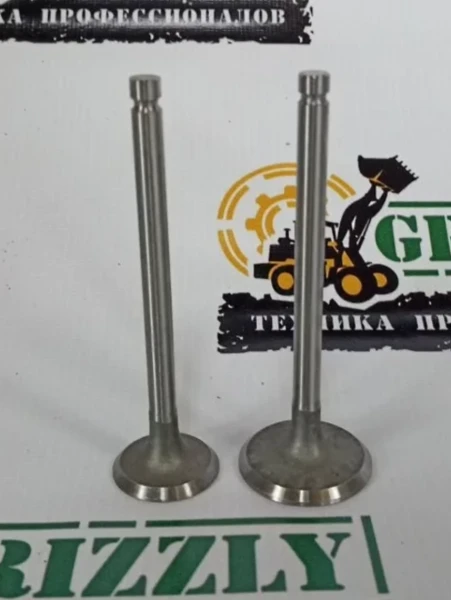 Фото для Комплект клапанов FAW 4DW91-45