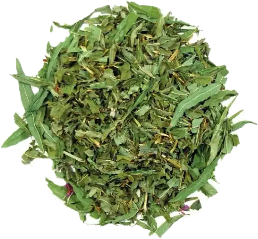 Кипрей узколистый (иван-чай) лист и стебель, 50 гр