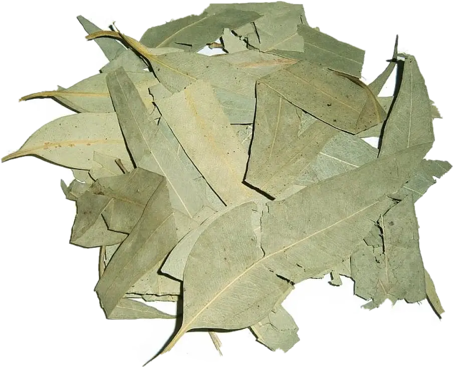 Эвкалипт листья, 50 гр