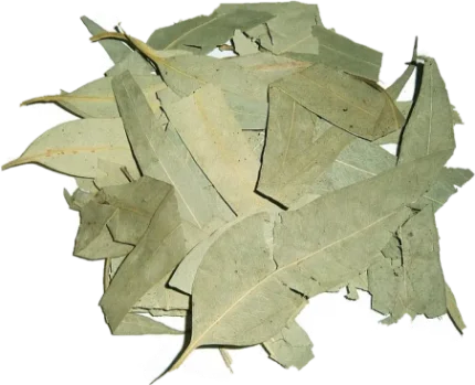 Эвкалипт листья, 50 гр