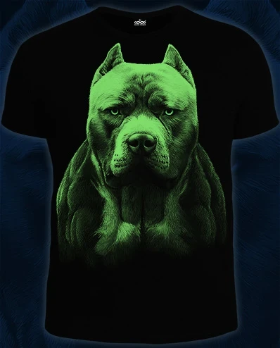 Фото для 14-1841 Футболка Питбуль