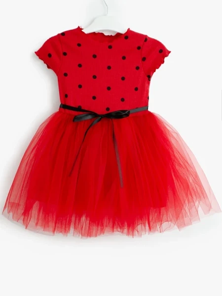 sz2sfg4mvpo7sfmrfiecvxxsztividl8