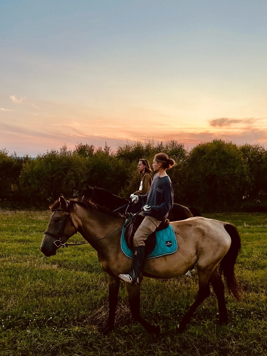 Прогулка на лошадях