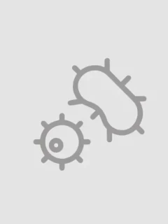 Базовая биохимия-2