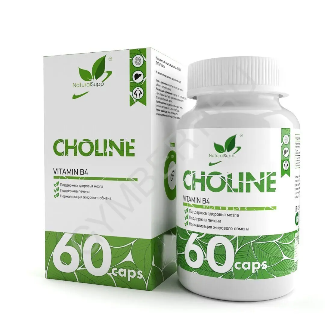 Natural Supp Vitamin B4 (Choline Bitartrate) 480mg 60 caps, шт., арт. 3007007