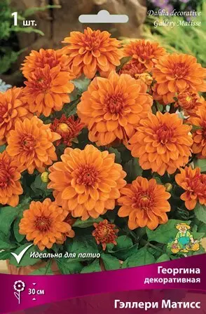 a6df7855ddc311ed8293d85ed377b6fa_5f64fcfd156711ee8296d85ed377b6fa