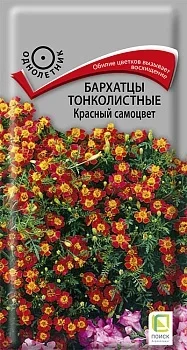 Фото для Бархатцы (Тагетес) тонколистные Красный самоцвет (ЦВ) ("1) 0,1гр.