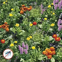 Фото для Газон цветущий "Реппеленты для сада" 30г