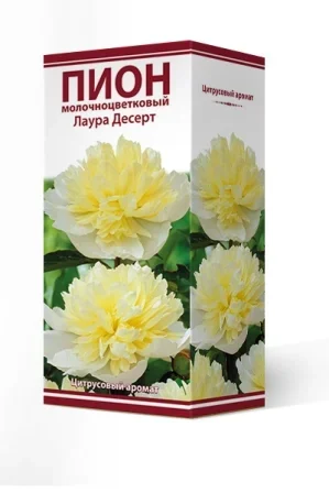 d810eeefdda311ed8293d85ed377b6fa_523d5f700d9c11ef8334d85ed377b6fa