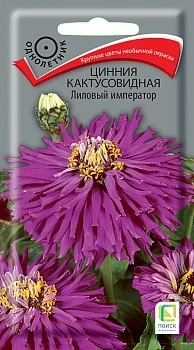 Фото для Цинния кактусовидная Лиловый император (ЦВ) ("1) 0,4гр.