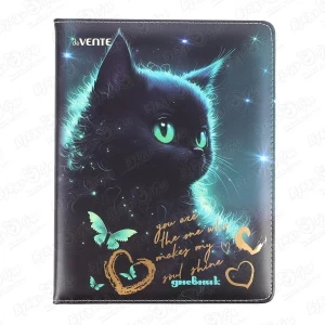 Фото для Дневник школьный Black Cat