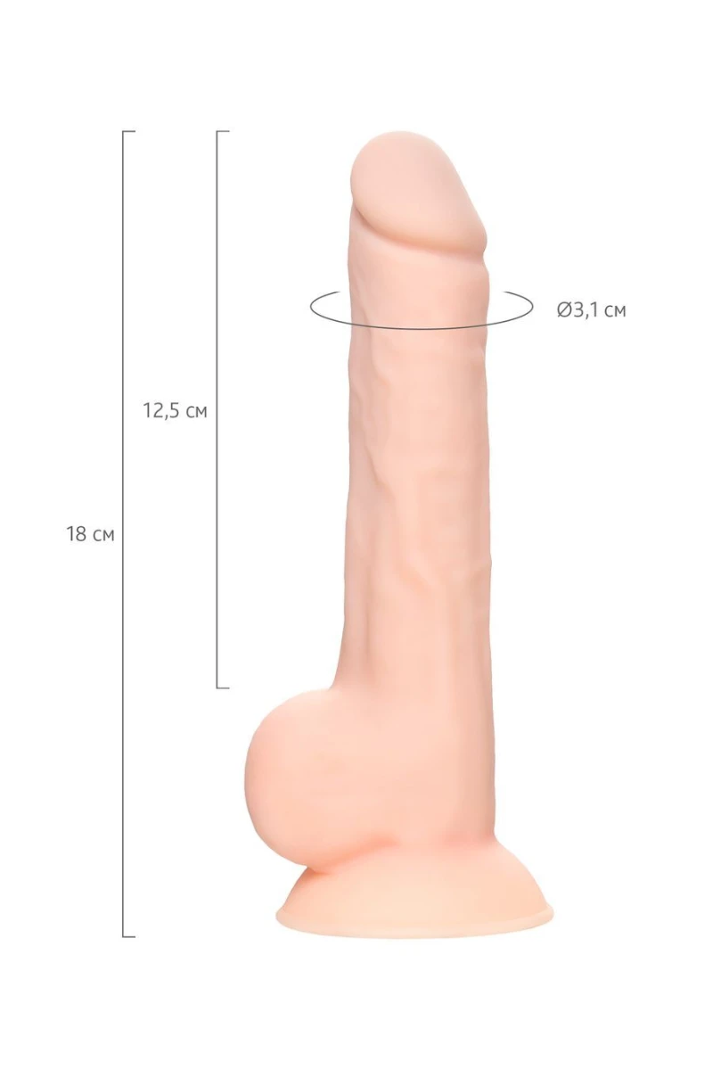 16268604