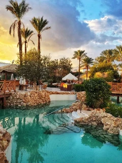 Туры в Египет из Москвы на 2025 г