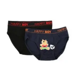 Комплект трусиков для мальчика "Happy Boy"